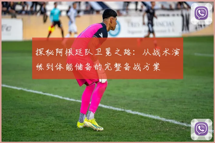 探秘阿根廷队卫冕之路：从战术演练到体能储备的完整备战方案